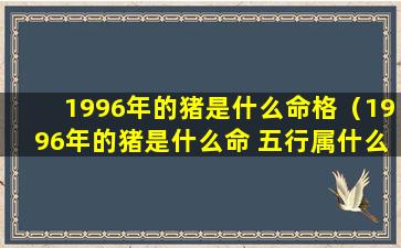 1996年的猪是什么命格（1996年的猪是什么命 五行属什么）